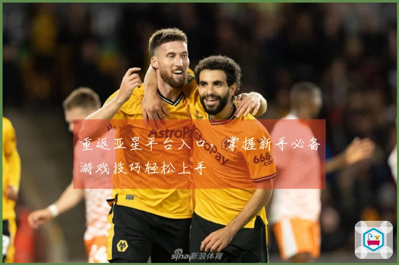 重返亚星平台入口，掌握新手必备游戏技巧轻松上手