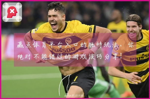 赢点体育平台入口的独特玩法，你绝对不能错过的游戏技巧分享！