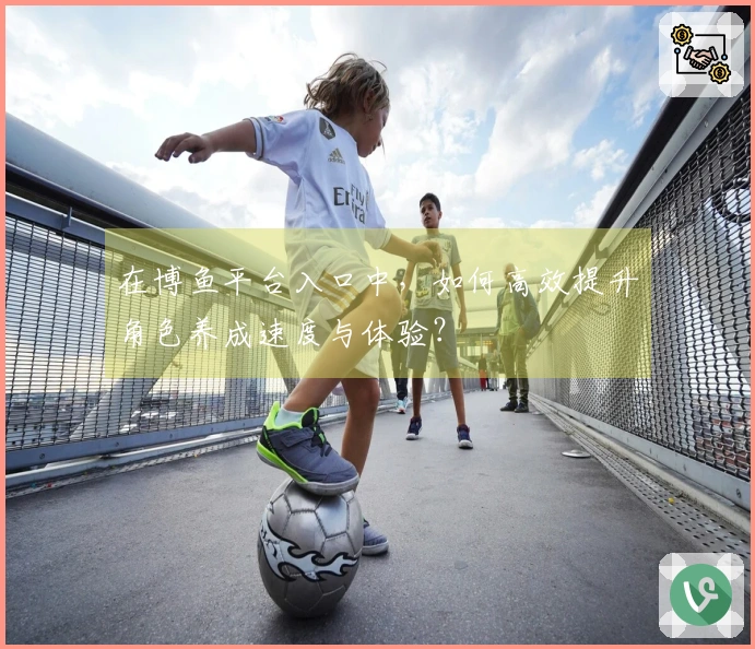 在博鱼平台入口中，如何高效提升角色养成速度与体验？